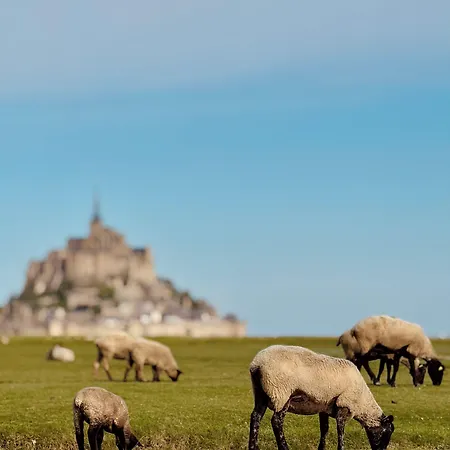 De La Digue Mont-Saint-Michel